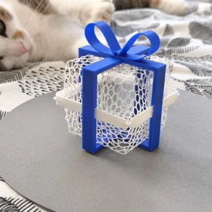 Caja de regalo termoformada con lazo